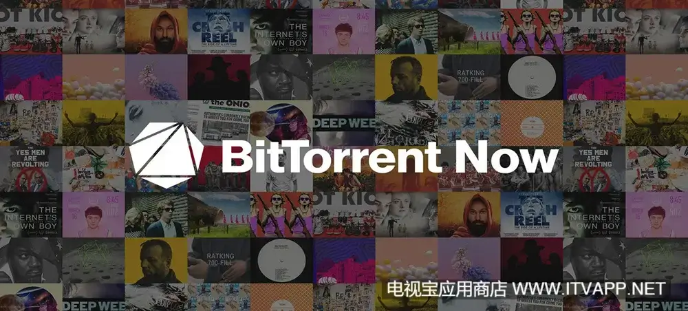 BitTorrent 比特流专业版